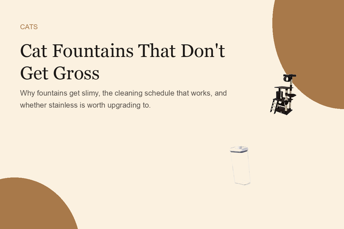 Cat Fountains That Don't Get Gross