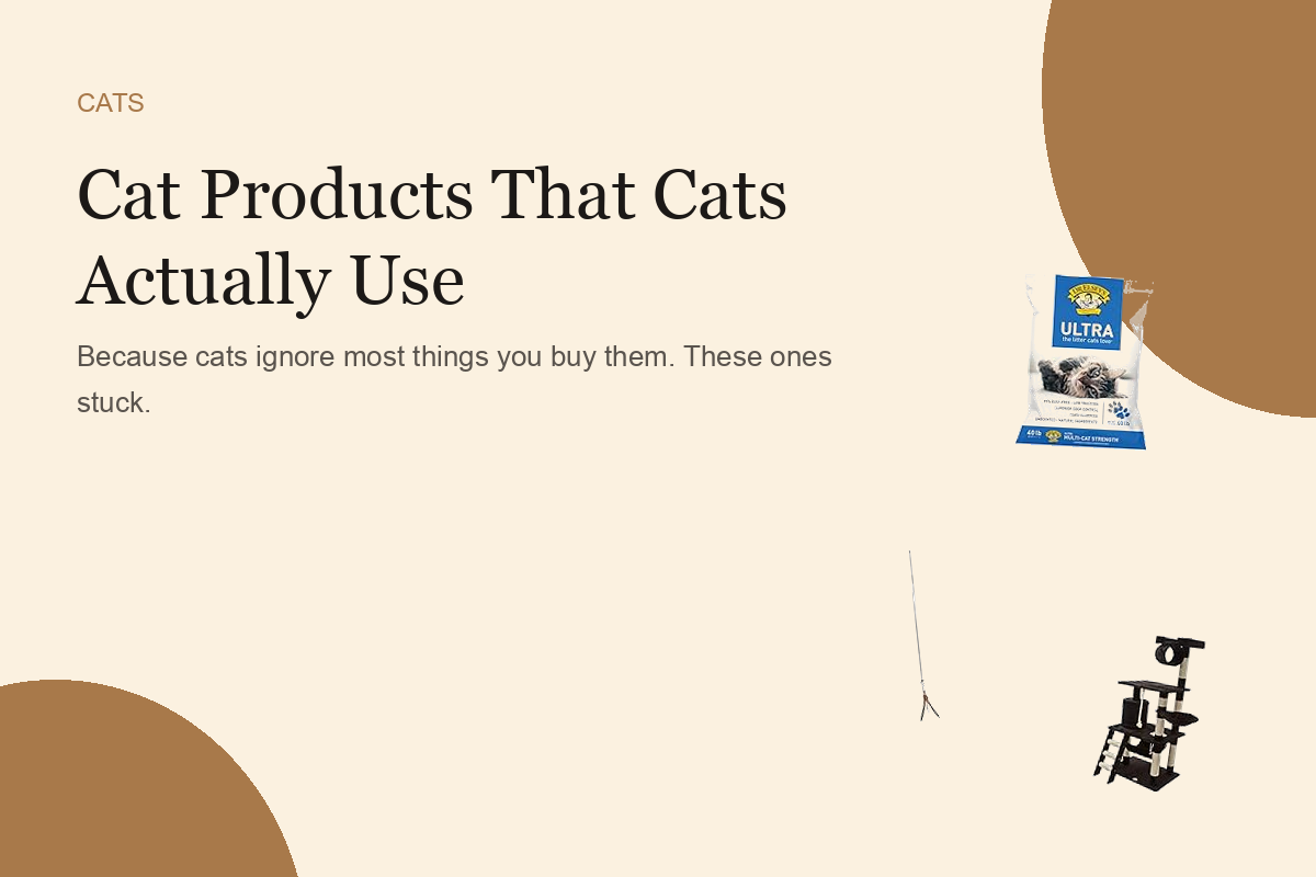 Cat Products That Cats Actually Use