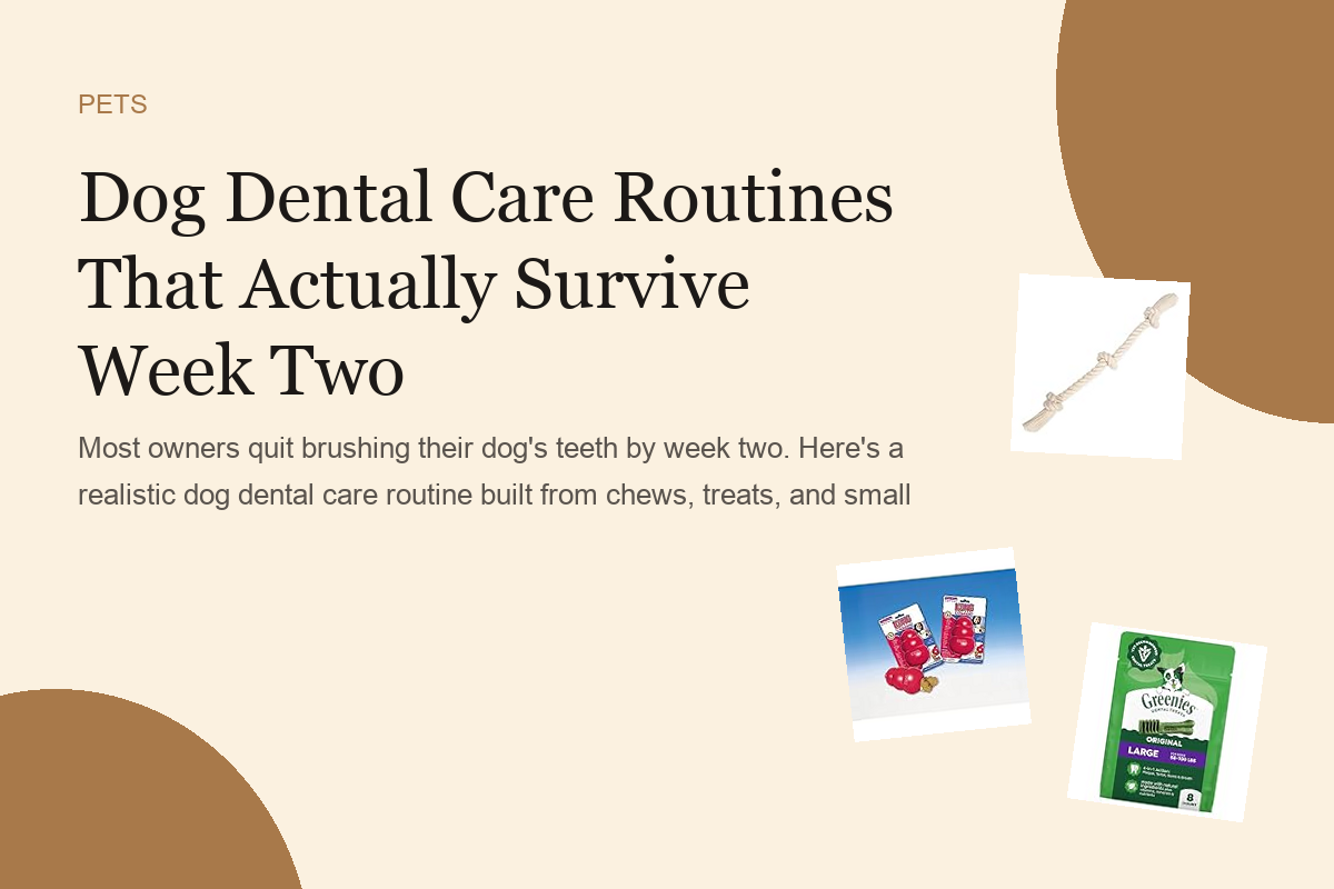 Dog Dental Care Routines That Actually Survive Week Two