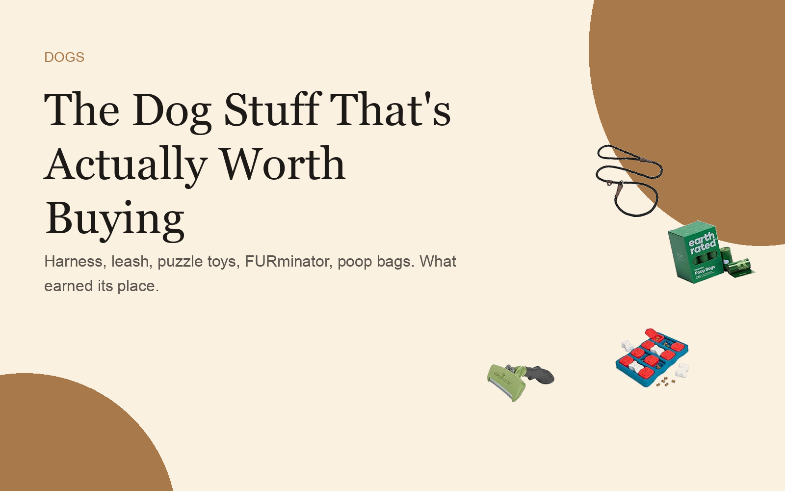 The Dog Stuff That's Actually Worth Buying