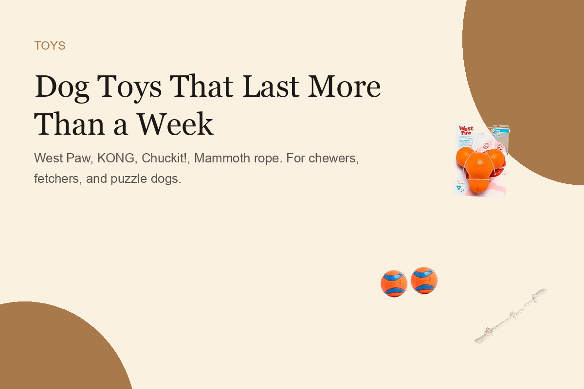 Dog Toys That Last More Than a Week