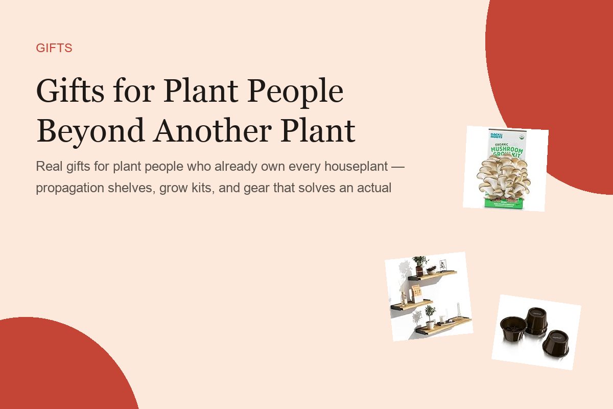 Gifts for Plant People Beyond Another Plant