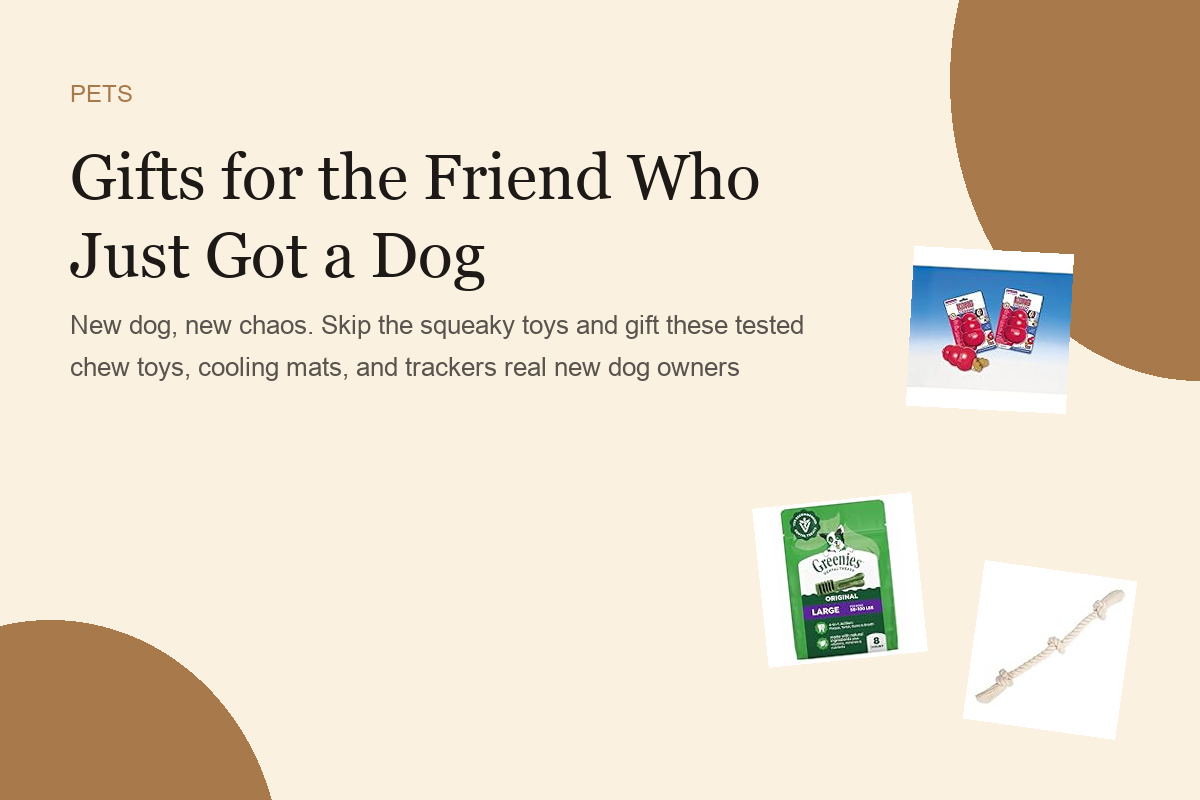 Gifts for the Friend Who Just Got a Dog