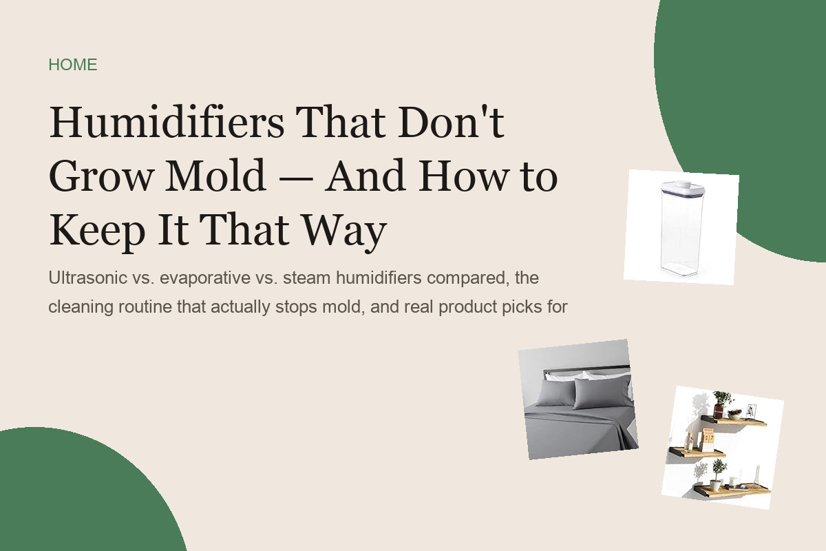 Humidifiers That Don't Grow Mold — And How to Keep It That Way