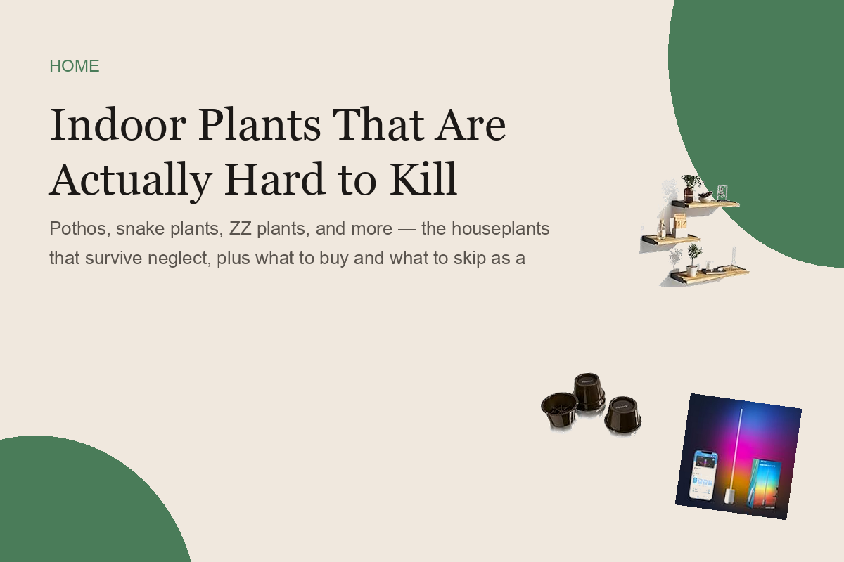 Indoor Plants That Are Actually Hard to Kill
