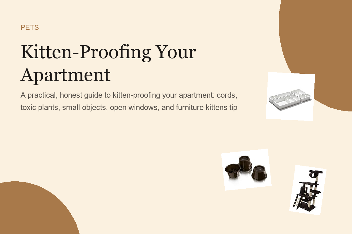 Kitten-Proofing Your Apartment