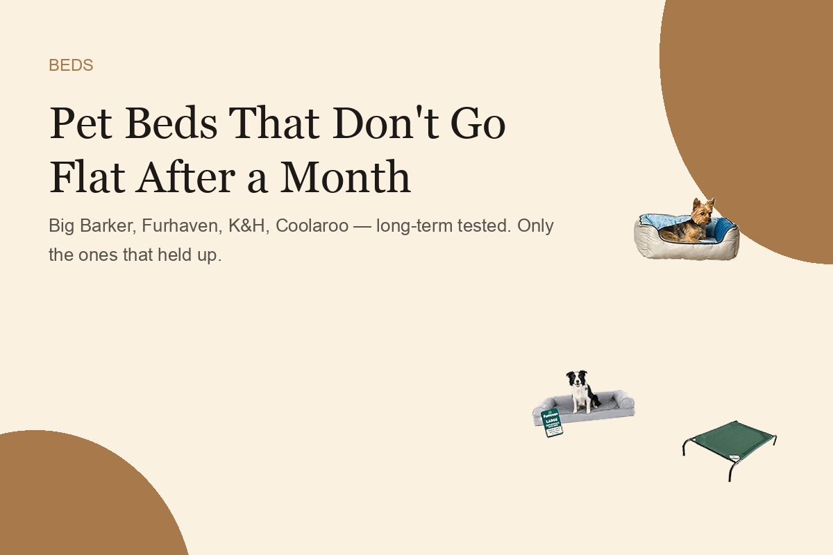 Pet Beds That Don't Go Flat After a Month