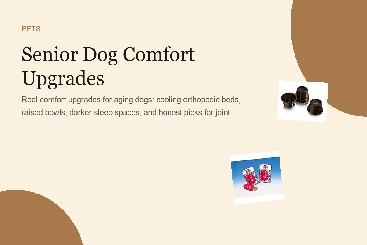 Senior Dog Comfort Upgrades