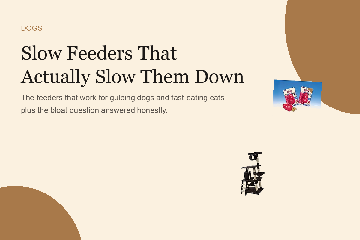 Slow Feeders That Actually Slow Them Down
